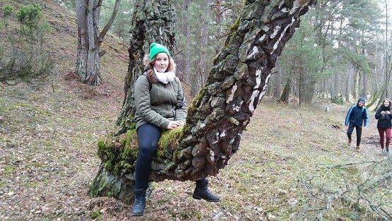 Grafika #9: Harcerska wycieczka piesza