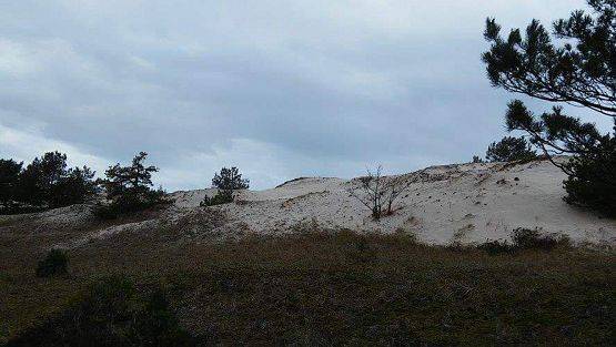 Grafika #10: Harcerska wycieczka piesza