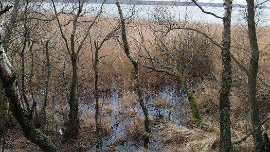 Grafika #11: Harcerska wycieczka piesza