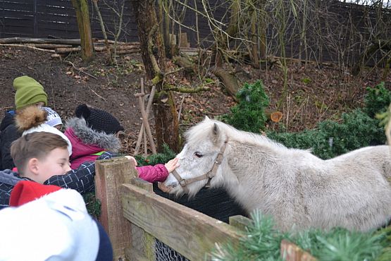 Grafika #1: Z wizytą w wiosce św. Mikołaja