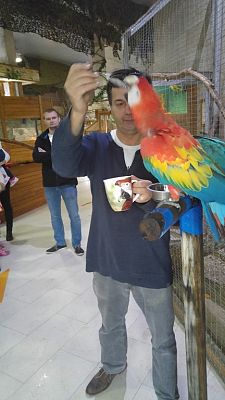 Grafika #3: Przedszkolaki w Mini ZOO w Tuchlinie.