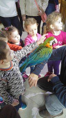 Grafika #6: Przedszkolaki w Mini ZOO w Tuchlinie.