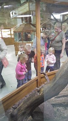 Grafika #10: Przedszkolaki w Mini ZOO w Tuchlinie.