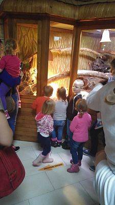 Grafika #12: Przedszkolaki w Mini ZOO w Tuchlinie.