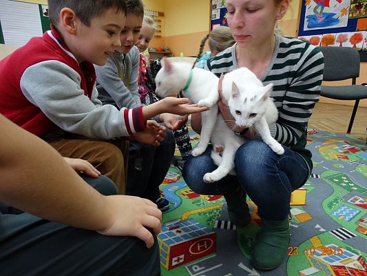 Grafika #9: Kotki z wizytą w szkole. 1a i 1b poznają literkę "k".