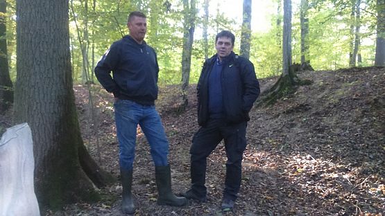 Grafika #4: 17 PRÓBNA ŁEBIEŃSKA DRUŻYNA BAŻYNOWY BÓR zbiera żołędzie i zarabia na mundury!