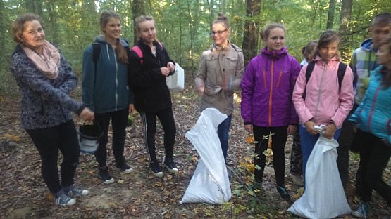 Grafika #5: 17 PRÓBNA ŁEBIEŃSKA DRUŻYNA BAŻYNOWY BÓR zbiera żołędzie i zarabia na mundury!