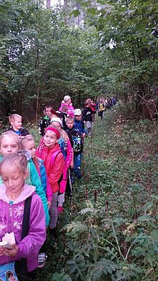 Grafika #2: Wyprawa klasy III i IV do lasu