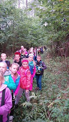 Grafika #3: Wyprawa klasy III i IV do lasu