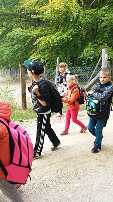 Grafika #4: Wyprawa klasy III i IV do lasu