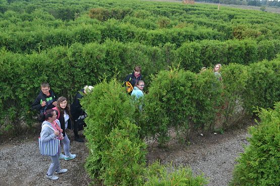 Grafika #19: Niecodzienne lekcje dla klas pierwszych gimnazjum!