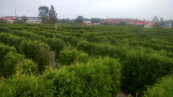 Grafika #0: Niecodzienne lekcje dla klas pierwszych gimnazjum!