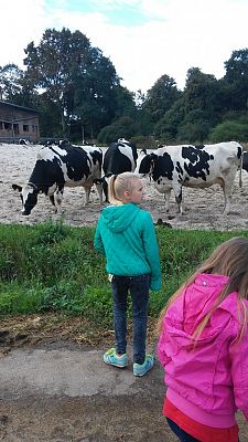 Grafika #5: Uczniowie klasy III SP na wycieczce w gospodarstwie hodowlanym