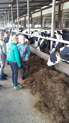 Grafika #7: Uczniowie klasy III SP na wycieczce w gospodarstwie hodowlanym