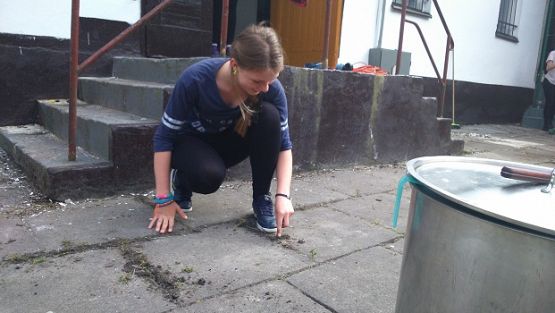 Grafika #6: Harcerze z drużyny Bażynowy bór na Małym Obozie w Szklanej Hucie