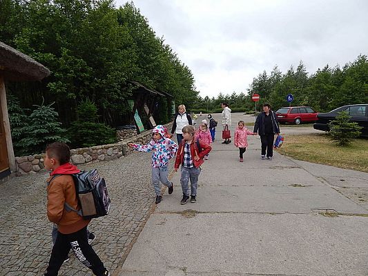 Grafika #2: Wycieczka do Parku Dinozaurów