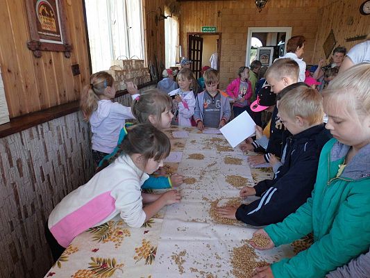 Grafika #0: Wycieczka do Doliny Jadwigi