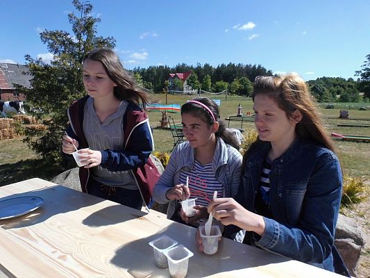 Grafika #2: Wycieczka do Doliny Jadwigi