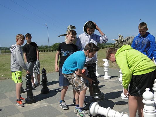 Grafika #7: Biwak w Gniewinie