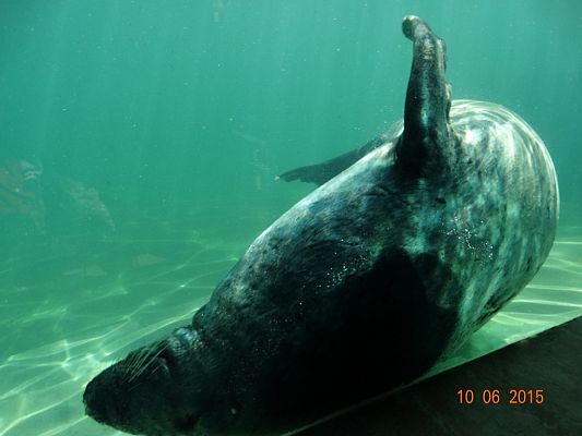 Grafika #28: Wycieczka klasy II i III do Doliny Charlotty