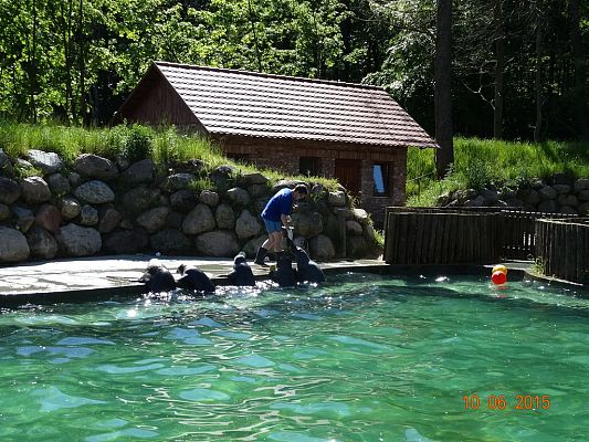 Grafika #2: Wycieczka klasy II i III do Doliny Charlotty