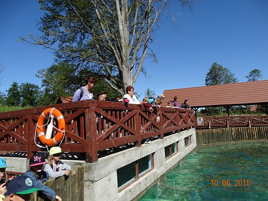 Grafika #3: Wycieczka klasy II i III do Doliny Charlotty