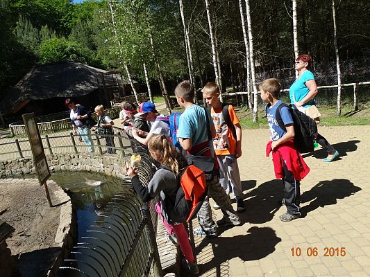 Grafika #8: Wycieczka klasy II i III do Doliny Charlotty