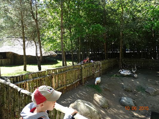 Grafika #9: Wycieczka klasy II i III do Doliny Charlotty