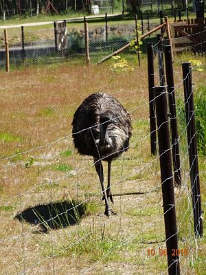 Grafika #13: Wycieczka klasy II i III do Doliny Charlotty