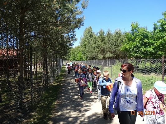 Grafika #20: Wycieczka klasy II i III do Doliny Charlotty