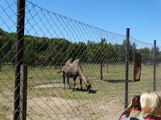 Grafika #24: Wycieczka klasy II i III do Doliny Charlotty