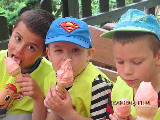 Grafika #8: Wycieczka do ZOO