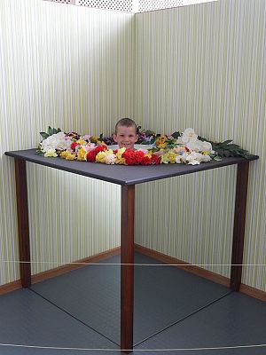 Grafika #4: Wycieczka do Centrum Nauki Eksperyment w Gdyni