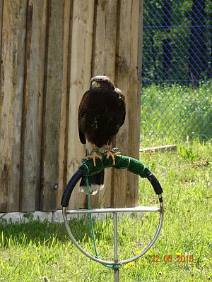 Grafika #19: Wycieczka klasy II i III do Jednostki Wojskowej do Siemirowic