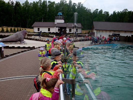 Grafika #0: Wycieczka do Sea Parku.