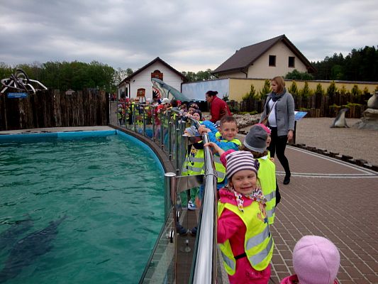 Grafika #1: Wycieczka do Sea Parku.