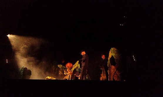 Grafika #9: Wyjazd do kina z okazji Światowego Dnia Ziemi.