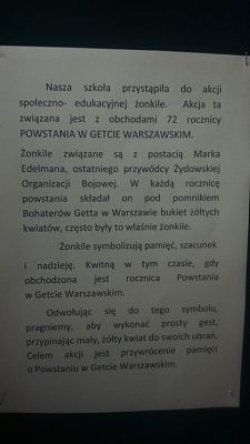 Grafika #11: Akcja społeczno - edukacyjna "Żonkile"