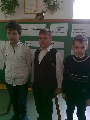 Grafika #0: Finalista Wojewódzkiego Konkursu Matematycznego