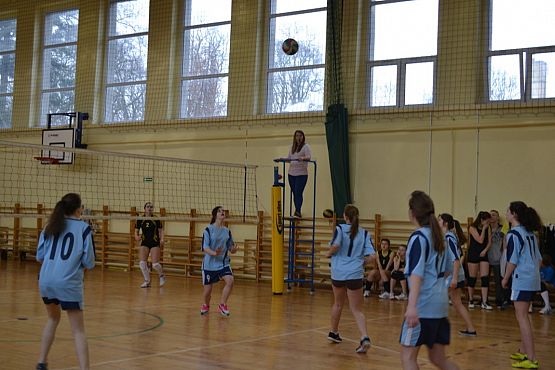 Grafika #0: Turniej Piłki Siatkowej o Puchar Dyrektora Zespołu Szkół w Wicku