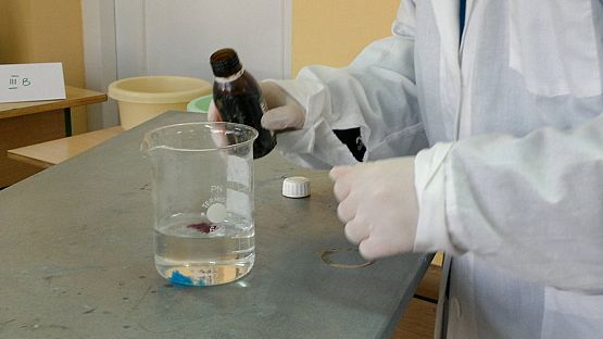 Grafika #3: I Międzyklasowy Turniej Przyrodniczy