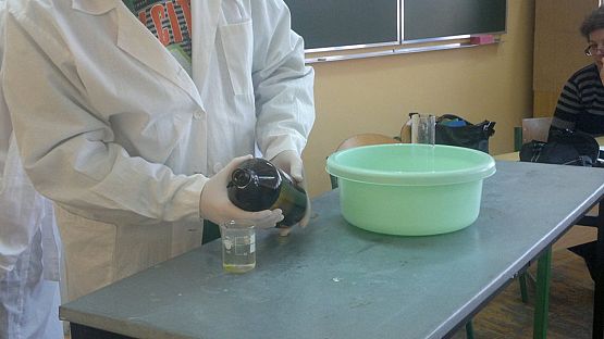 Grafika #7: I Międzyklasowy Turniej Przyrodniczy