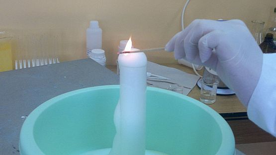 Grafika #9: I Międzyklasowy Turniej Przyrodniczy