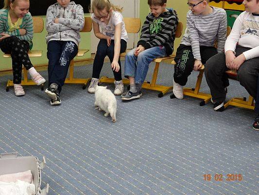 Grafika #3: Kolejny gość w klasie II