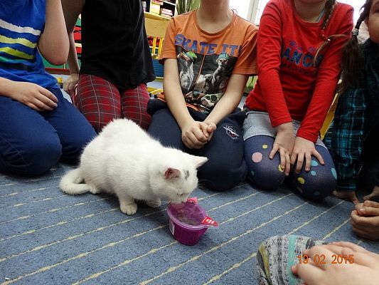 Grafika #8: Kolejny gość w klasie II