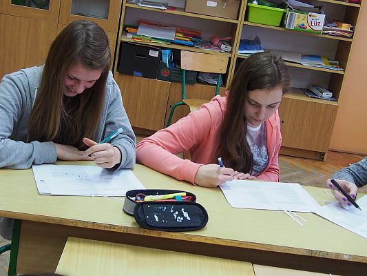 Grafika #4: "Pasja życiowa a wybór zawodu- świadome planowanie ścieżki kariery"