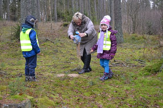 Grafika #6: Pamiętamy o leśnych zwierzętach