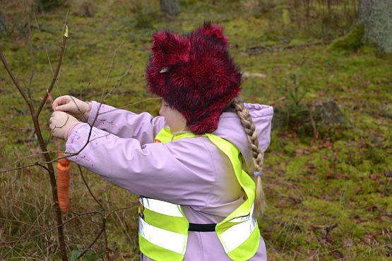 Grafika #8: Pamiętamy o leśnych zwierzętach