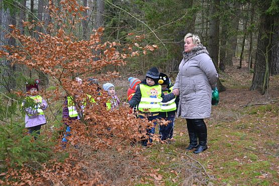 Grafika #11: Pamiętamy o leśnych zwierzętach