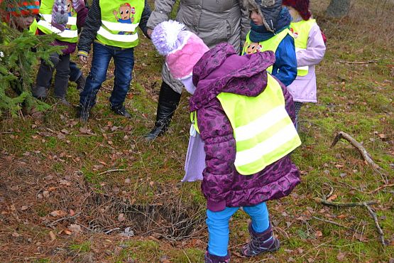 Grafika #12: Pamiętamy o leśnych zwierzętach